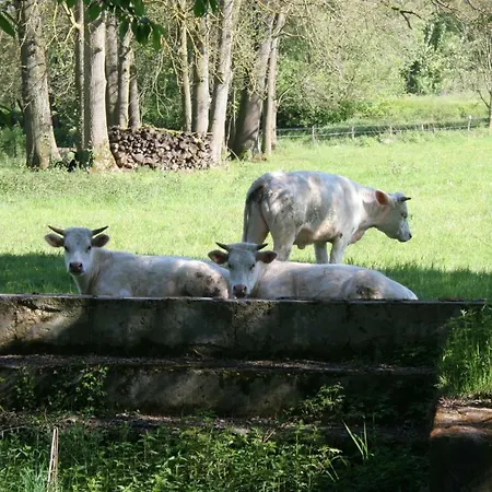 Du Tilleul Apartamento Gumbrechtshoffen